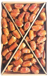 صقعي عادي جامبو لين